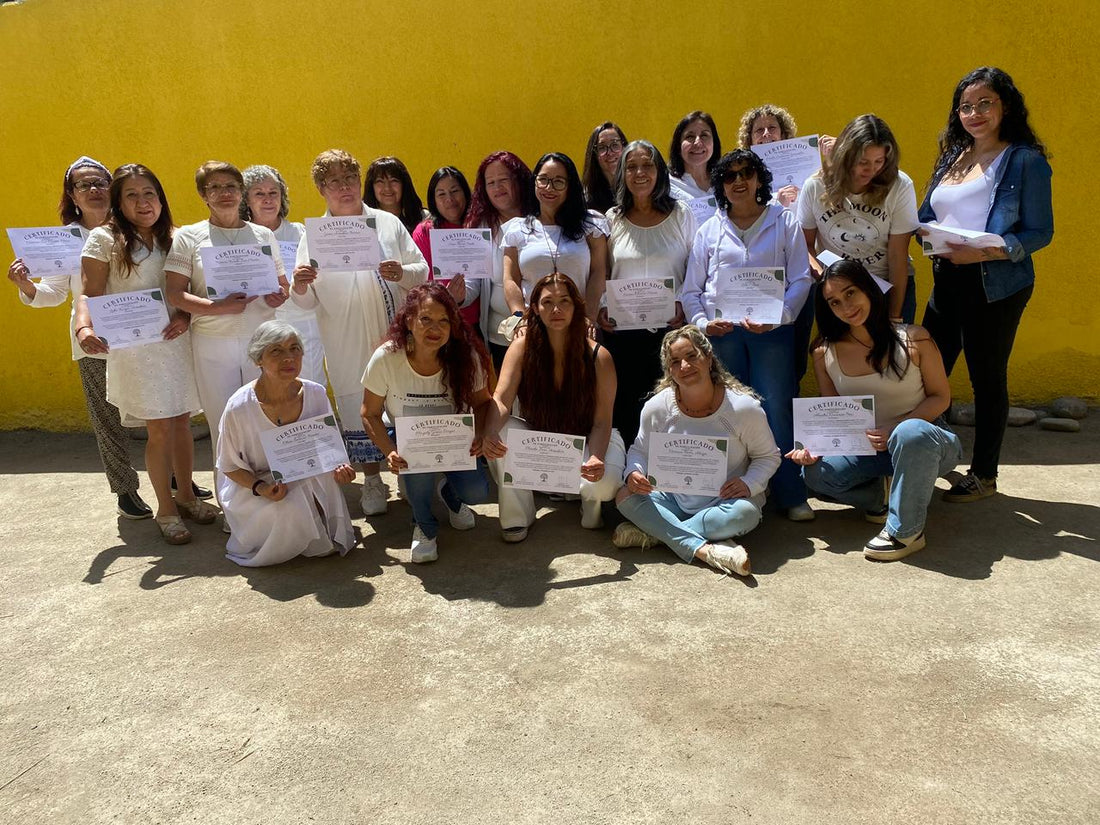 Maestría en Reiki en San Ramón: Una experiencia de formación y bienestar comunitario